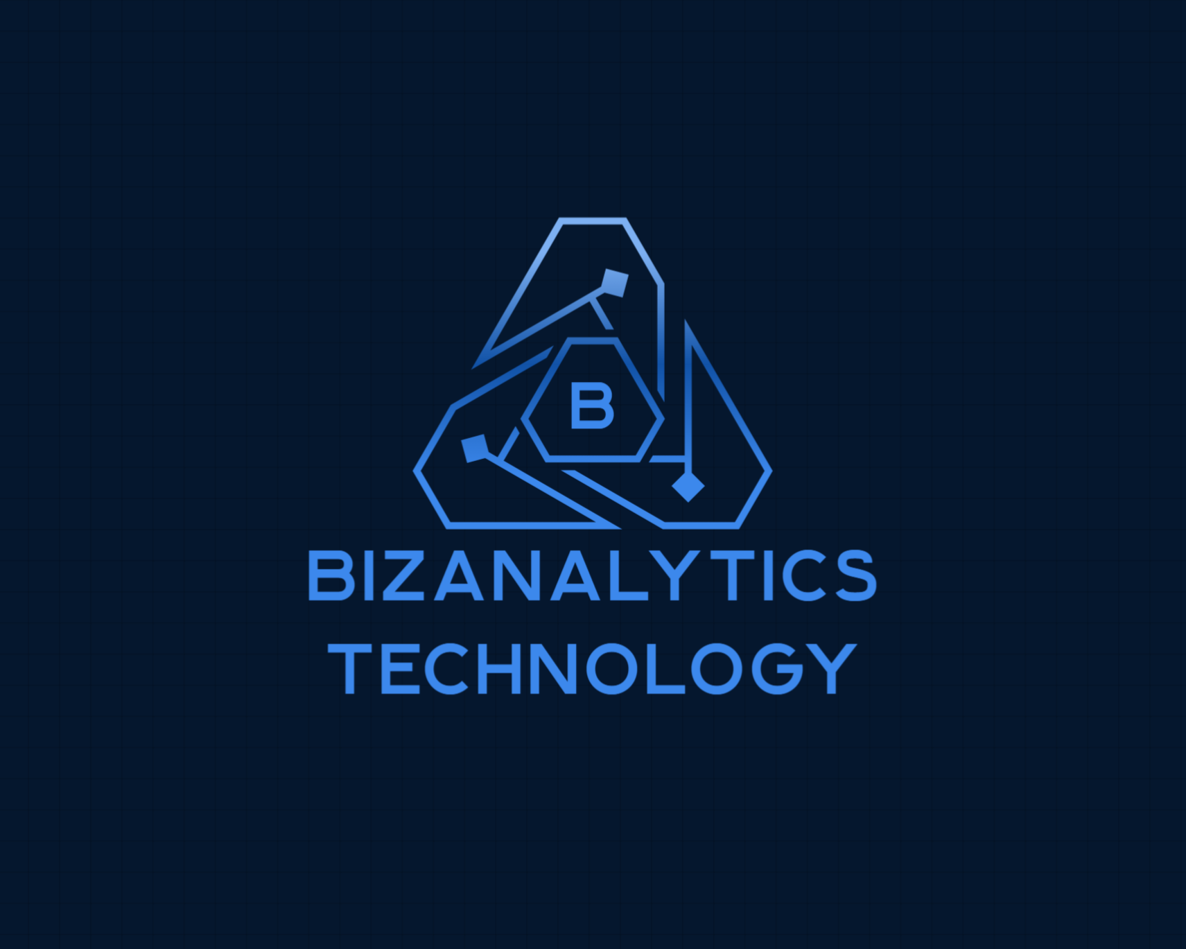 BizAnalytics Technology